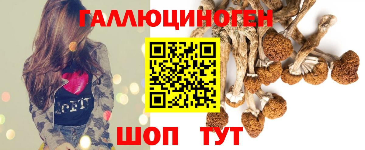 Мурманск  Галлюциногенные грибы MAGIC MUSHROOMS  Галлюциногенные грибы мицелий  Вход с VPN 