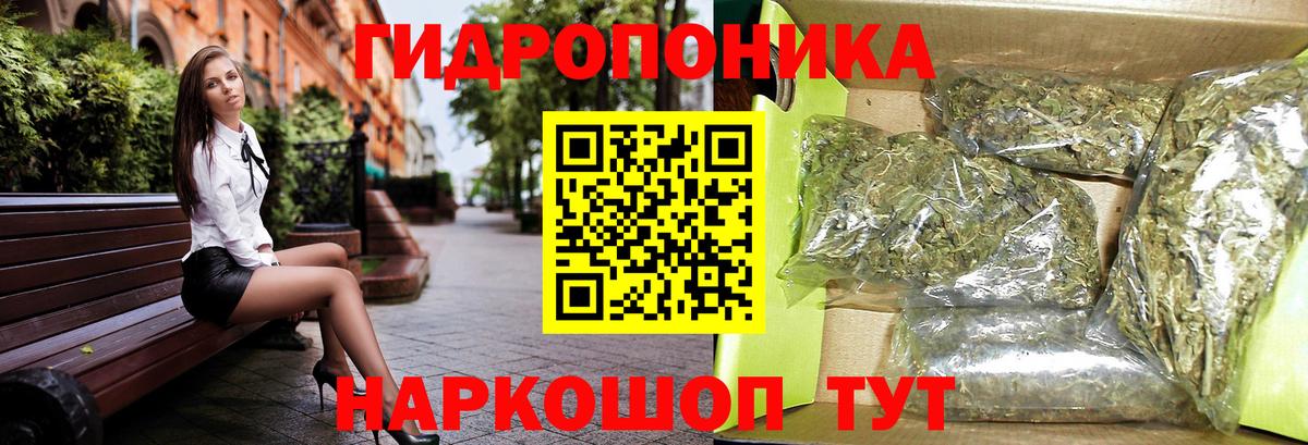 Мурманск  Каннабис индика  Марихуана сатива  Канабис план  Вход с VPN 